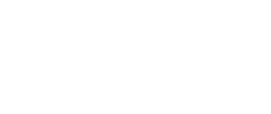 wolvessummit.com-logo